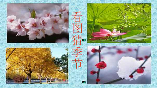 幻灯片3.jpg