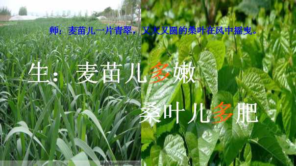 幻灯片8.jpg