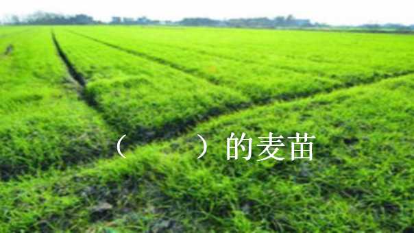 幻灯片9.jpg