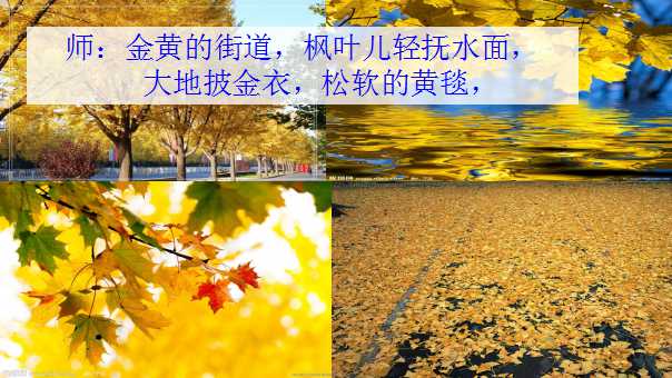 幻灯片14.jpg
