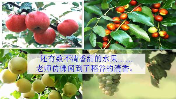 幻灯片15.jpg