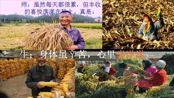 幻灯片17.jpg